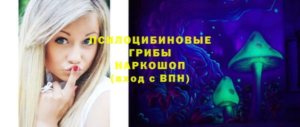 дурь Верея