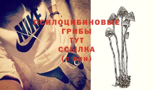 дурь Верея