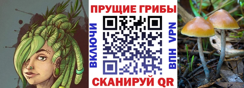 мориарти какой сайт  Семёнов  Галлюциногенные грибы мухоморы  наркота 